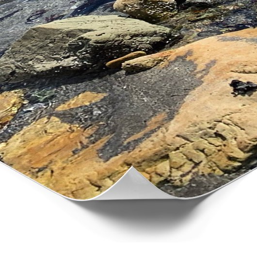 Oregon Rocky Beach Poster (Ecke)