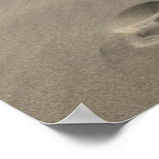 Oregon Sand Dunes Poster @3Typs1life (Ecke)