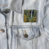 Oregon, Silver Falls Staat Park, North Falls Button (Beispiel)