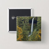 Oregon, Silver Falls Staat Park, North Falls Button (Vorne & Hinten)