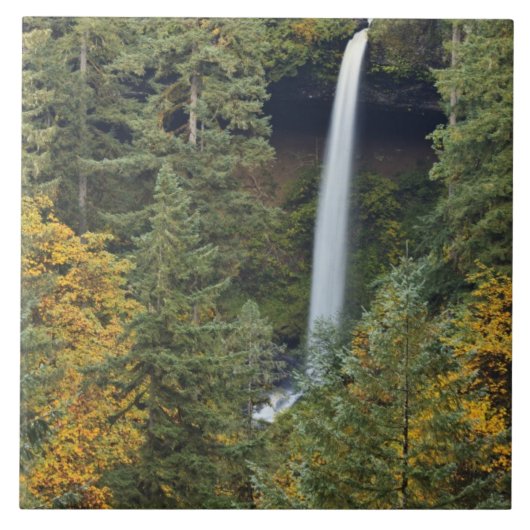 Oregon, Silver Falls Staat Park, North Falls Fliese (Vorderseite)