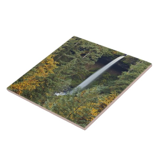 Oregon, Silver Falls Staat Park, North Falls Fliese (Seite)