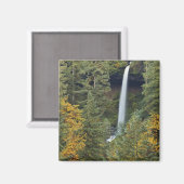 Oregon, Silver Falls Staat Park, North Falls Magnet (Vorderseite/Rückseite)