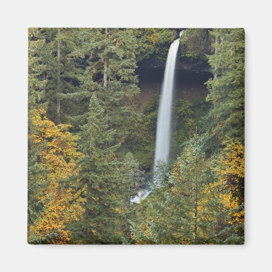 Oregon, Silver Falls Staat Park, North Falls Magnet (Vorne)