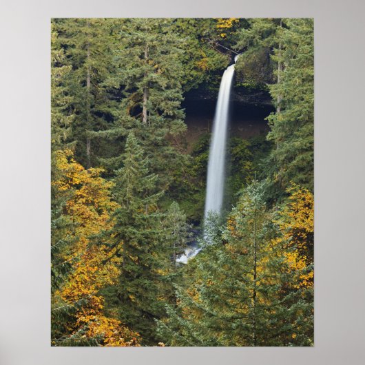 Oregon, Silver Falls Staat Park, North Falls Poster (Vorne)