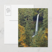 Oregon, Silver Falls Staat Park, North Falls Postkarte (Vorne/Hinten)