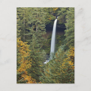 Oregon, Silver Falls Staat Park, North Falls Postkarte