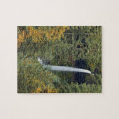 Oregon, Silver Falls Staat Park, North Falls Puzzle (Horizontal)