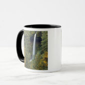 Oregon, Silver Falls Staat Park, North Falls Tasse (Vorderseite Links)