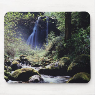 Oregon, Siskiyou National Forest, Elk Creek Mousepad