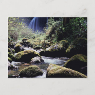 Oregon, Siskiyou National Forest, Elk Creek Postkarte