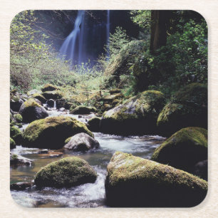 Oregon, Siskiyou National Forest, Elk Creek Rechteckiger Pappuntersetzer