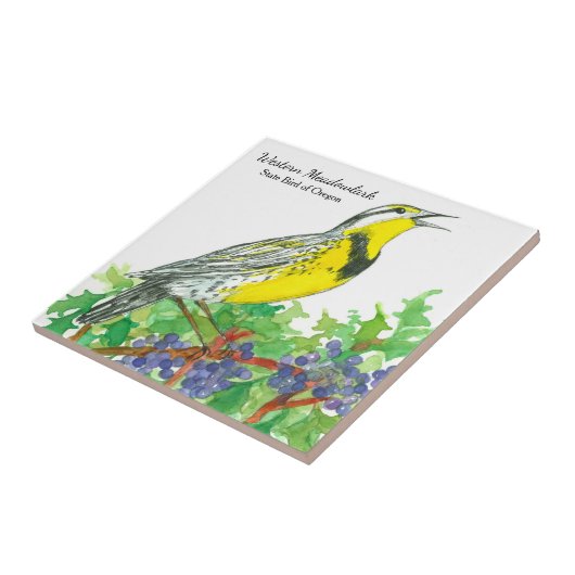 Oregon Souvenir Meadowlark Botanical Fliese (Seite)