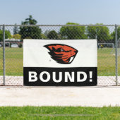 Oregon Staat Beavers | Biberkopf Banner (InSitu)