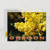 Oregon Staat Blume: Oregon Trauben Postkarte (Vorne/Hinten)