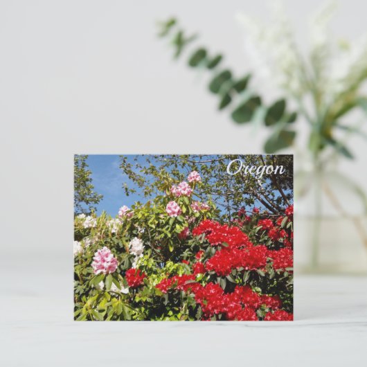 Oregon Staat Postkarte (Stehend Vorderseite)