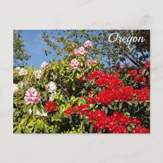Oregon Staat Postkarte (Vorderseite)