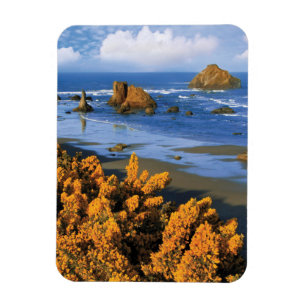 Oregon-Strandansicht in Bandon Magnet