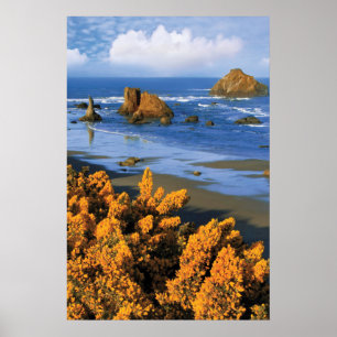 Oregon Strandblick in Bandon Poster