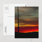 Oregon Sunrise Postkarte (Vorne/Hinten)