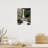 Oregon, Toketee Falls und Basaltfelsen Poster (Küche)