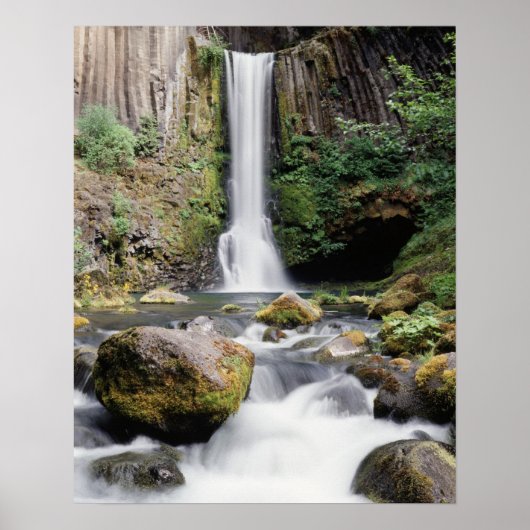 Oregon, Toketee Falls und Basaltfelsen Poster (Vorne)