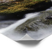 Oregon, Toketee Falls und Basaltgestein Poster (Ecke)