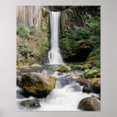 Oregon, Toketee Falls und Basaltgestein Poster (Vorne)