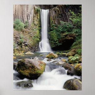 Oregon, Toketee Falls und Basaltgestein Poster