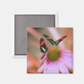 oregon, usa 3 magnet (Vorderseite/Rückseite)