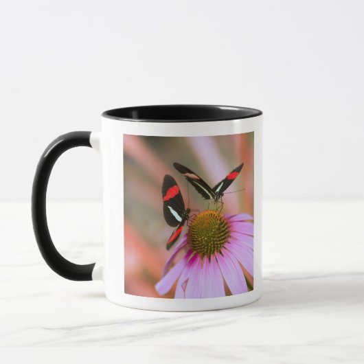 Oregon, USA 3 Tasse (Links)
