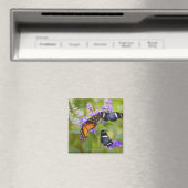 oregon, usa magnet (In Situ (Geschirrspüler))