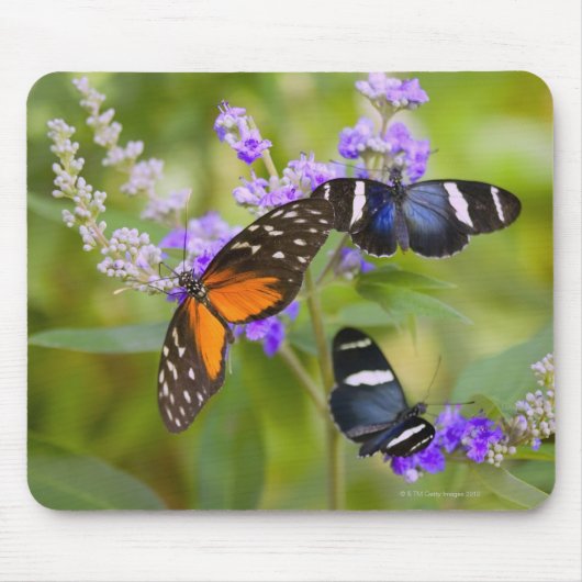 oregon, usa mousepad (Vorne)