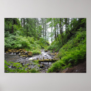 Oregon-Wald Poster