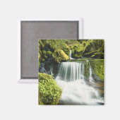 Oregon, Wasserfall in Willamette national Magnet (Vorderseite/Rückseite)