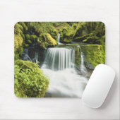 Oregon, Wasserfall in Willamette national Mousepad (Mit Mouse)
