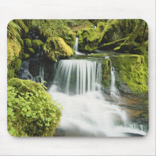 Oregon, Wasserfall in Willamette national Mousepad
