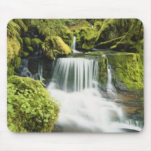 Oregon, Wasserfall in Willamette national Mousepad (Vorne)