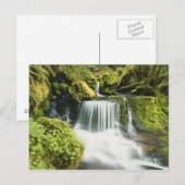 Oregon, Wasserfall in Willamette national Postkarte (Vorne/Hinten)