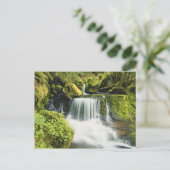 Oregon, Wasserfall in Willamette national Postkarte (Stehend Vorderseite)