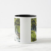 Oregon, Wasserfall in Willamette national Tasse (Zentrum)