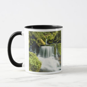 Oregon, Wasserfall in Willamette national Tasse