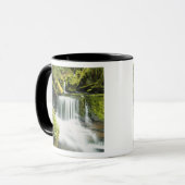 Oregon, Wasserfall in Willamette national Tasse (Vorderseite Links)