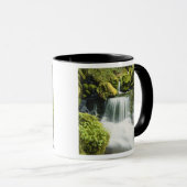 Oregon, Wasserfall in Willamette national Tasse (VorderseiteRechts)