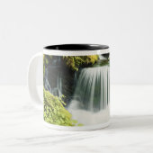 Oregon, Wasserfall in Willamette national Zweifarbige Tasse (Vorderseite Links)