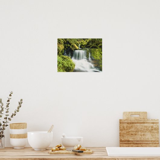 Oregon, Waterfall in Willamette national Poster (Küche)