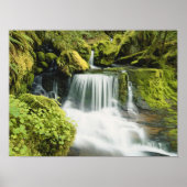 Oregon, Waterfall in Willamette national Poster (Vorne)