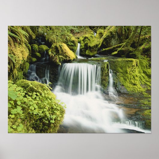 Oregon, Waterfall in Willamette national Poster (Vorne)