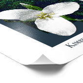 Oregon Waterfall Poster (Ecke)