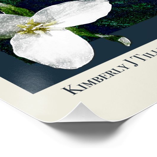 Oregon Waterfall Poster (Ecke)